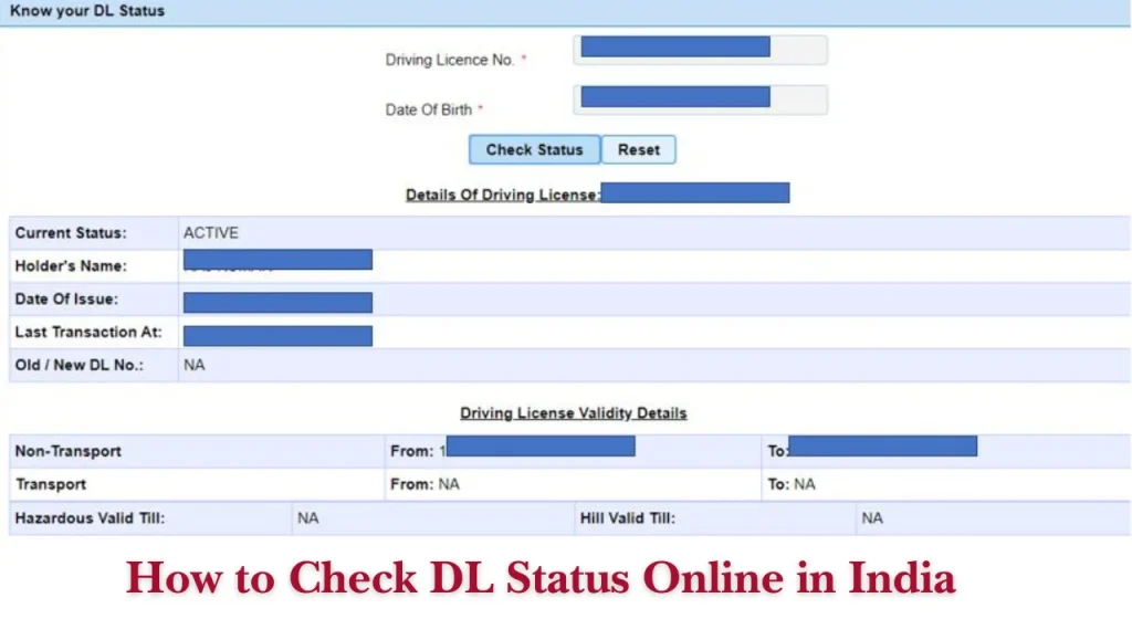 How to Check DL Status Online in India
