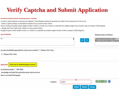 Verify Captcha and Submit Application